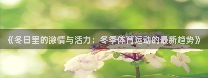 杏耀官网测速：《冬日里的激情与活力：冬季体育运动的最新趋势》