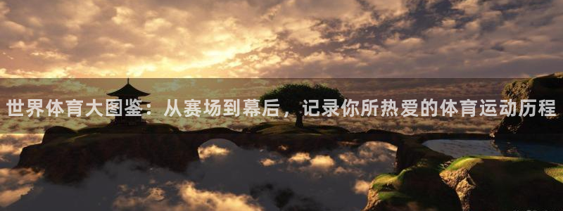 杏耀账号官网登录：世界体育大图鉴：从赛场到幕后，记录你所热爱的体育运动历程