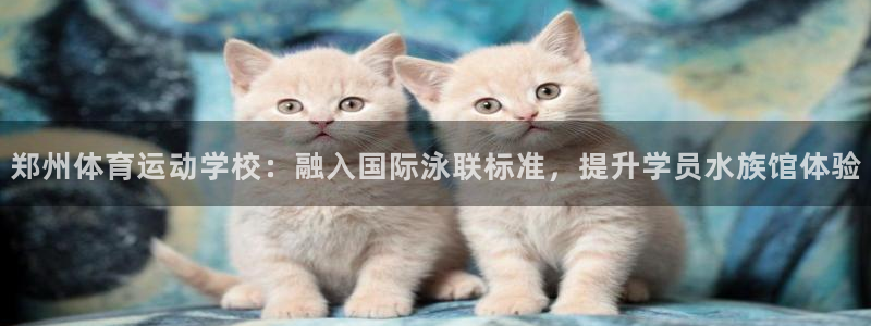 杏耀手机版：郑州体育运动学校：融入国际泳联标准，提升学员水族馆体验