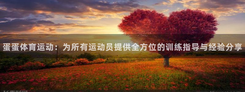 杏耀平台注册登陆：蛋蛋体育运动：为所有运动员提供全方位的训练指导与经验分享