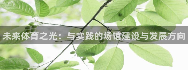 杏耀2体育登录入口：未来体育之光：与实践的场馆建设与发展方向