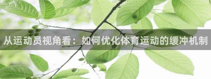 德国杏耀集团：从运动员视角看：如何优化体育运动的缓冲机制