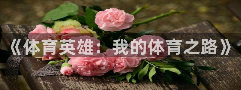 杏耀5注册：《体育英雄：我的体育之路》