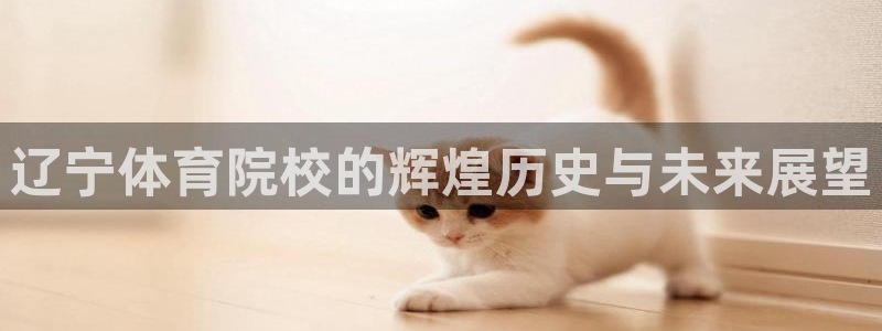 杏耀招商：辽宁体育院校的辉煌历史与未来展望