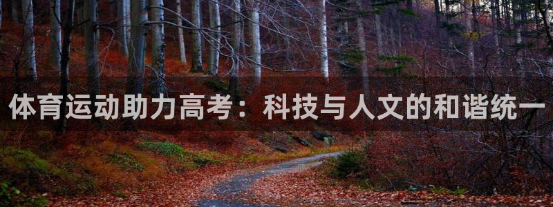娱乐杏耀：体育运动助力高考：科技与人文的和谐统一