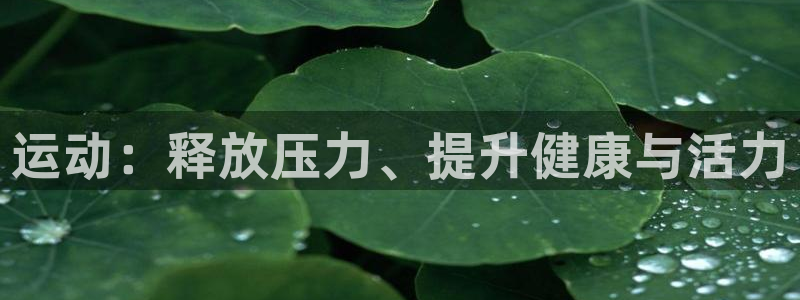 杏耀5招商：运动：释放压力、提升健康与活力
