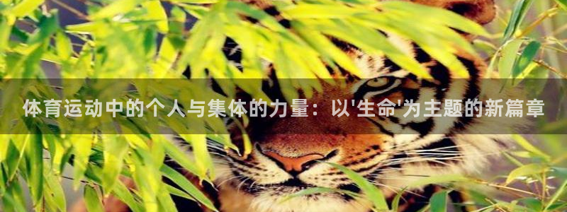 杏耀体育官网登录：体育运动中的个人与集体的力量：以\'生命\'为主题的新篇章