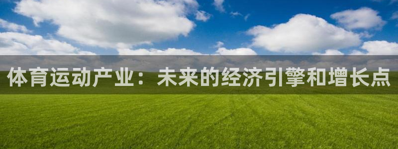 杏耀f平台注册：体育运动产业：未来的经济引擎和增长点