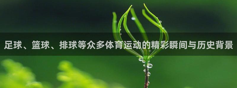 杏耀账号登录首页：足球、篮球、排球等众多体育运动的精彩瞬间与历史背景
