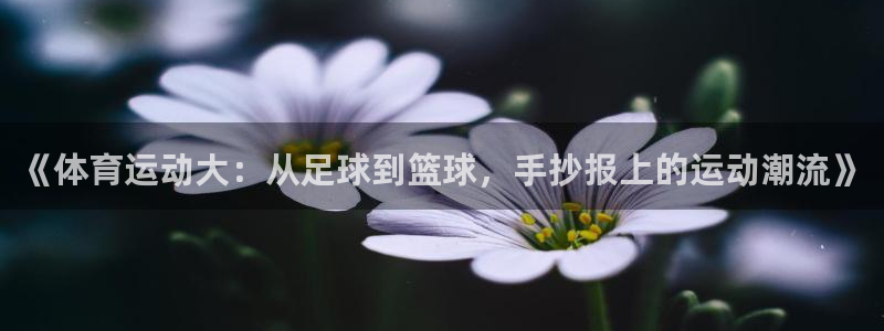 杏耀体育凯捷代理注册：《体育运动大：从足球到篮球，手抄报上的运动潮流》