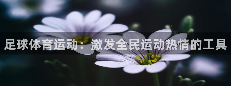杏耀3登陆：足球体育运动：激发全民运动热情的工具