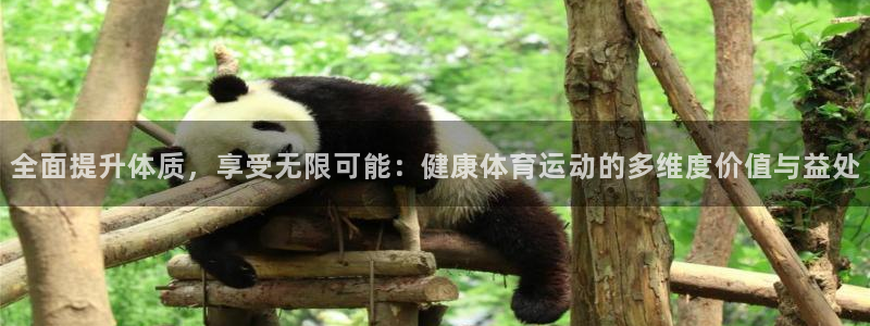 东莞市杏耀电子科技有限公司：全面提升体质，享受无限可能：健康体育运动的多维度价值