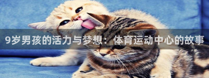 杏耀体育f开号：9岁男孩的活力与梦想：体育运动中心的故事