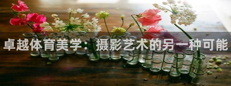 杏耀平台测速：卓越体育美学：摄影艺术的另一种可能
