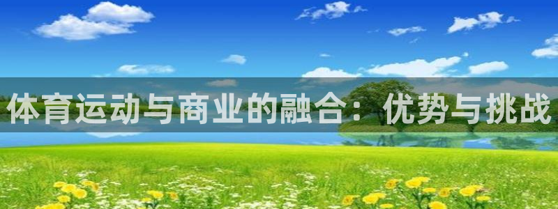 杏耀体育老板是谁：体育运动与商业的融合：优势与挑战
