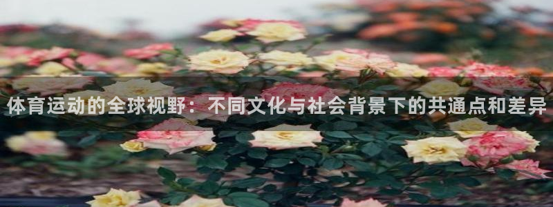 杏耀平台：体育运动的全球视野：不同文化与社会背景下的共通点和差异
