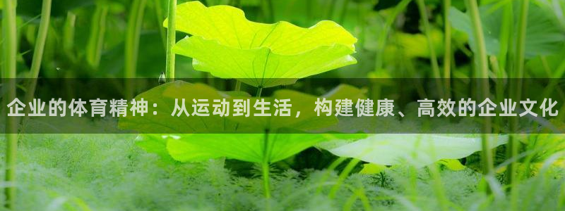 杏耀主管：企业的体育精神：从运动到生活，构建健康、高效的企业文化