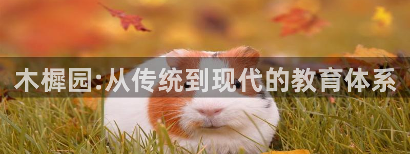 杏耀体育平台总代理：木樨园:从传统到现代的教育体系