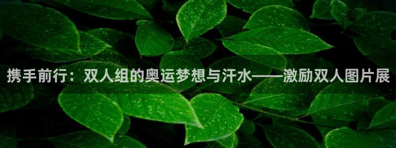 杏耀f平台注册：携手前行：双人组的奥运梦想与汗水——激励双人图片展