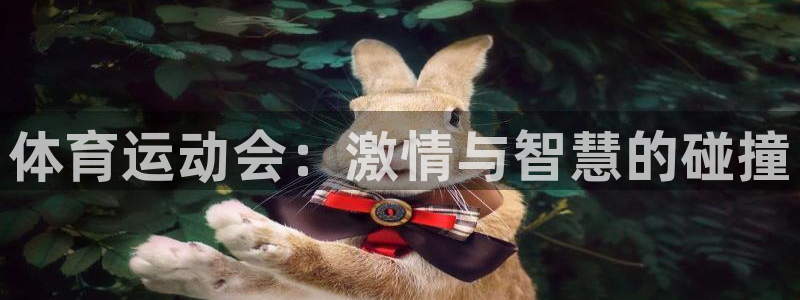 杏耀平台：体育运动会：激情与智慧的碰撞