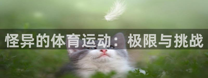杏耀平台登录网址：怪异的体育运动：极限与挑战